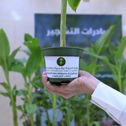 الإسلام الوسطي