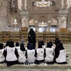 الإعلام والإستثمار.. شراكة تصنع قيمة  ..مقال للكاتبه الإعلامية.. ميرفت محفوظ .