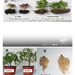 تجمع عسير الصحي يحتفي بالعيد ويشكر مرابطيه على جهودهم