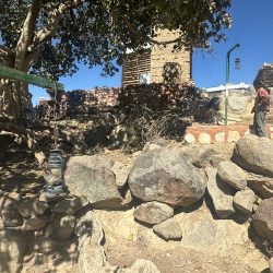 ابتدائية الطفولة المبكرة بالقبل تنفذ مبادرة “ازرعها تبقى” ضمن أجاويد 4 بسراة عبيدة