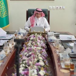 برعاية سمو الأمير خالد الفيصل… القنفذة تحتفي بـ”ذهبها الأصفر” في مهرجان المانجو الـ15