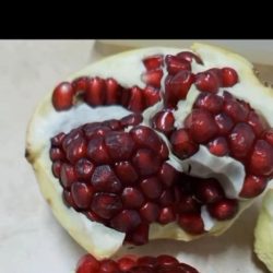انطلاق مهرجان الرمان السادس بسراة عبيدة