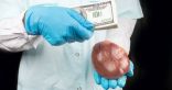 في الصين بيع الأعضاء  البشرية للخليجين ” حلال “