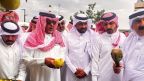 انطلاق مهرجان الرمان السادس بسراة عبيدة