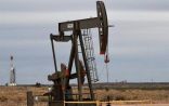 مسؤول: المملكة والكويت تستأنفان إنتاج النفط من حقلي الخفجي والوفرة بداية الشهر المقبل