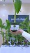 ‏بيئة العرضيات تنفذ مبادرة بيئية بمناسبة اليوم الوطني الـ95 بالشراكة مع مدارس المحافظة