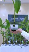‏بيئة العرضيات تنفذ مبادرة بيئية بمناسبة اليوم الوطني الـ95 بالشراكة مع مدارس المحافظة