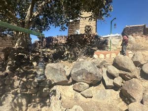 مجلس القبيلة… قديماً وحديثاً أصالة الجذور… وروح الحاضر